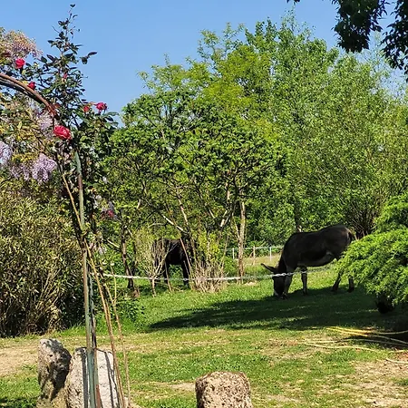 Pey Sud Gaua Bed & Breakfast Sistels