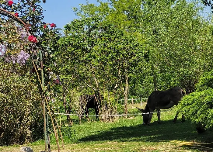 Pey Sud Gaua Bed & Breakfast Sistels